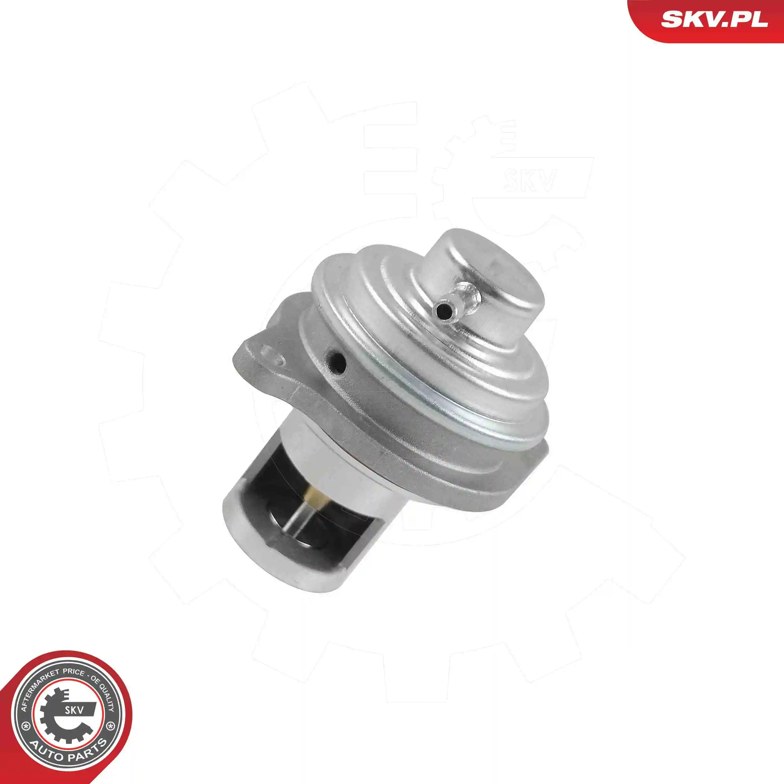 EGR Valve